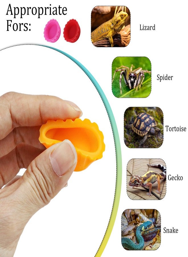 UPIQNG 10 Pack Colorful Crested Gecko Feeding Dishes Reusable Small Reptile Food and Water Bowls Accessories for Cresteds, Tortoises, Crabs, and Small Pets10 Colors - Image 3